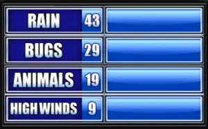Name Something That Could Ruin A Picnic.